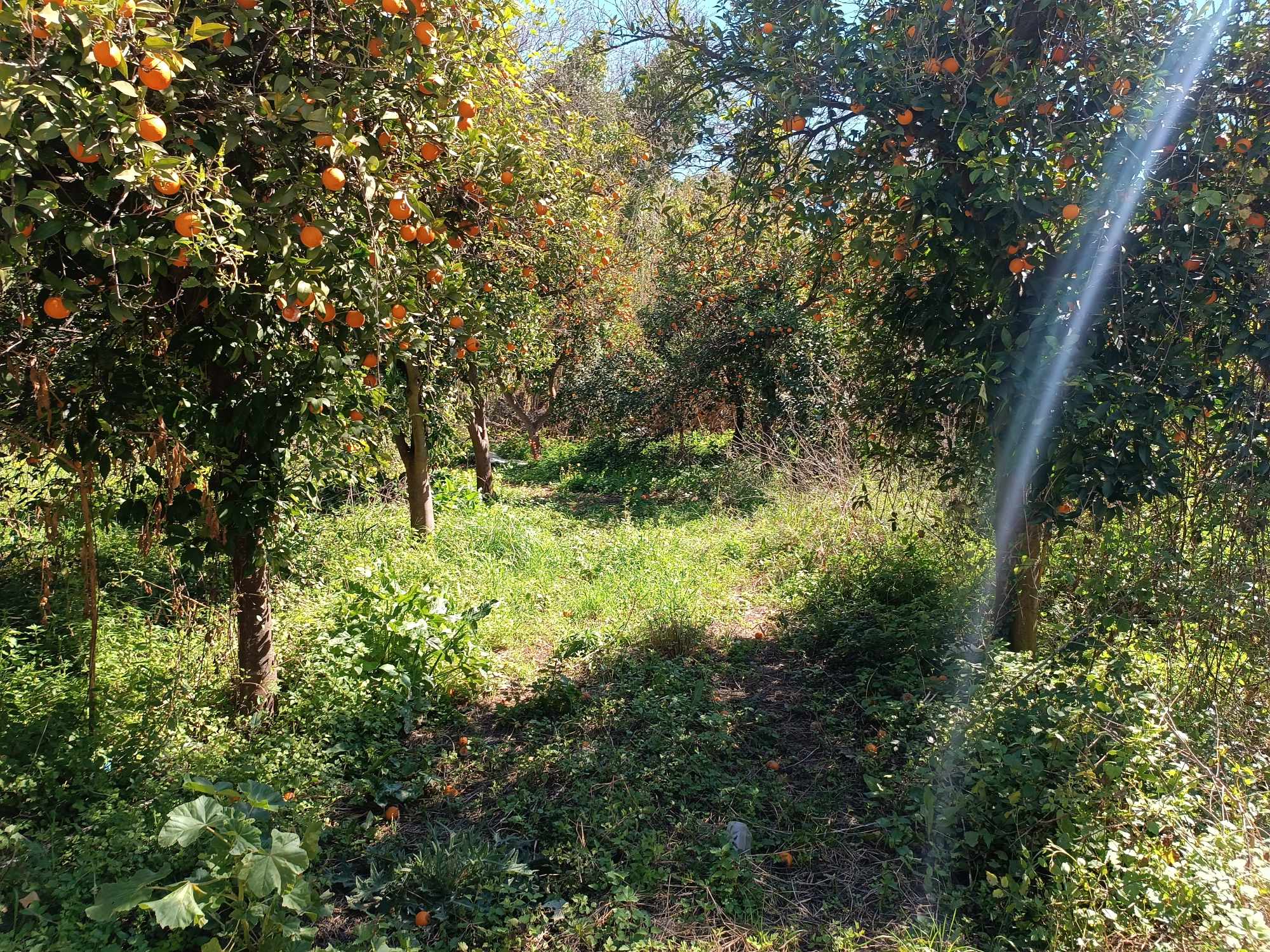 Μαγούλα Μυστρά – Πωλείται μονοκατοικία 280 τ.μ